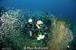 Fesdu wreck, Maldives. rebreather Megalodon, Inspiration.... by Max Ardizzoni 